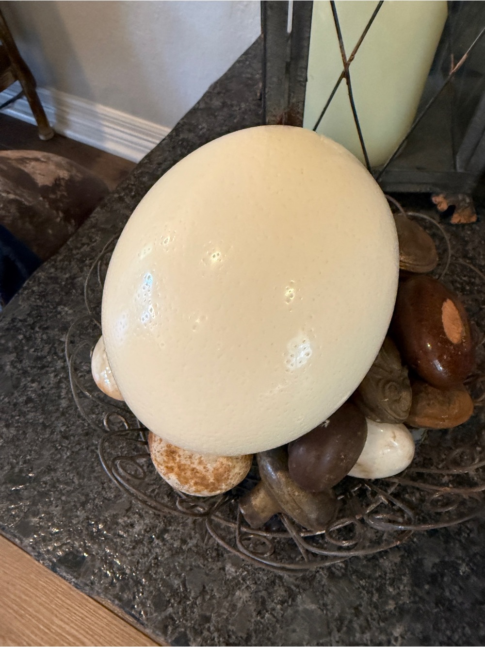 Large Real Blown Ostrich Egg - Picture 12 of 17